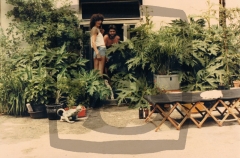 Mit-Muse-des-Künstlers